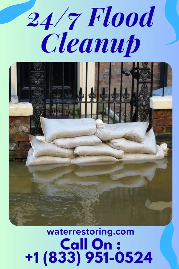 24/7 Flood Cleanup in Mertens, TX
