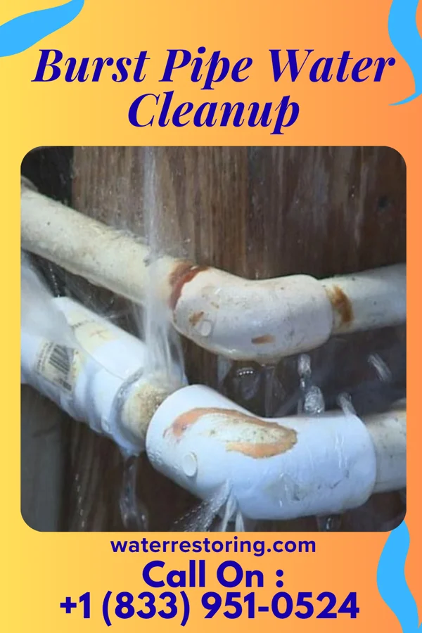 Burst Pipe Water Cleanup in Mertens, TX