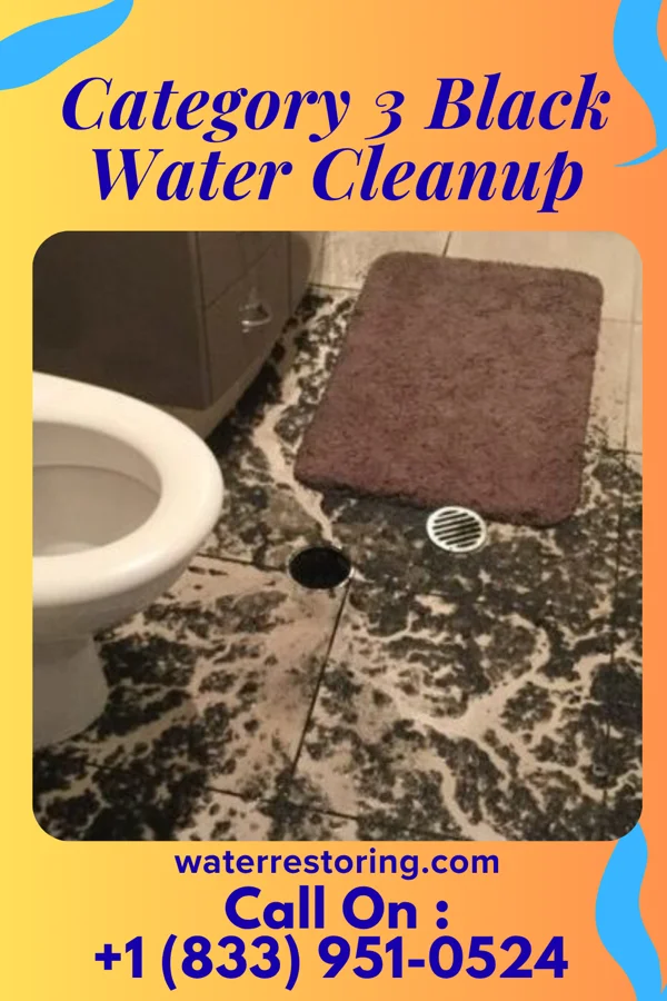 Category 3 Black Water Cleanup in Mertens, TX