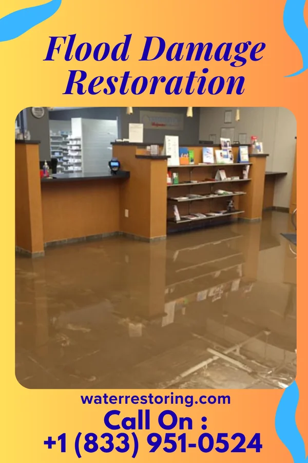 Flood Damage Restoration in Mertens, TX