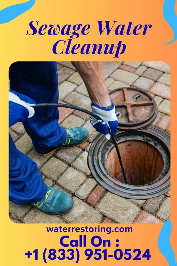 Sewage Water Cleanup in Mertens, TX