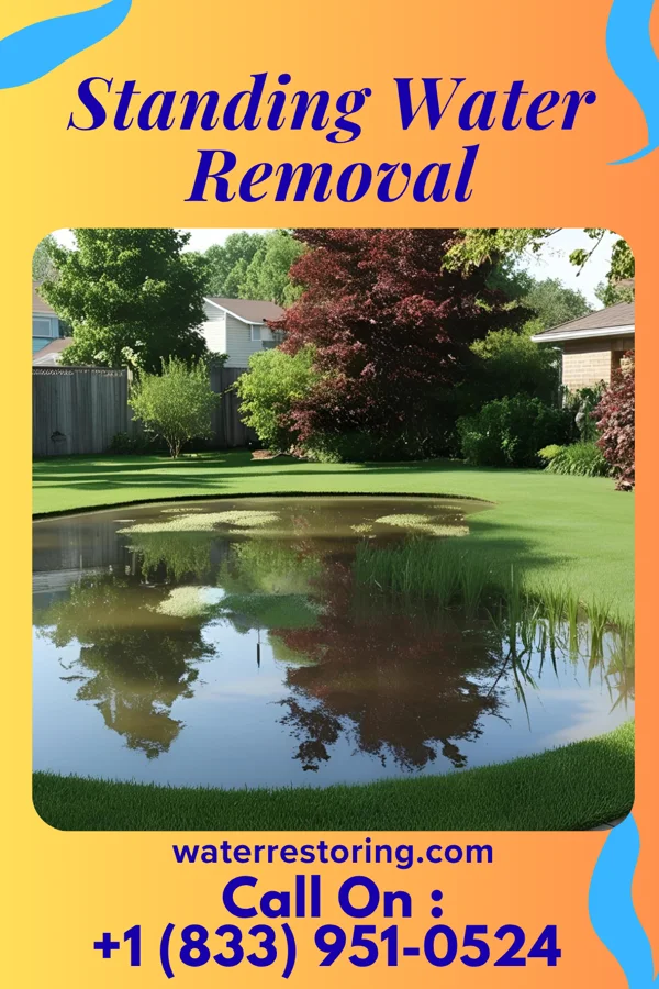 Standing Water Removal in Mertens, TX